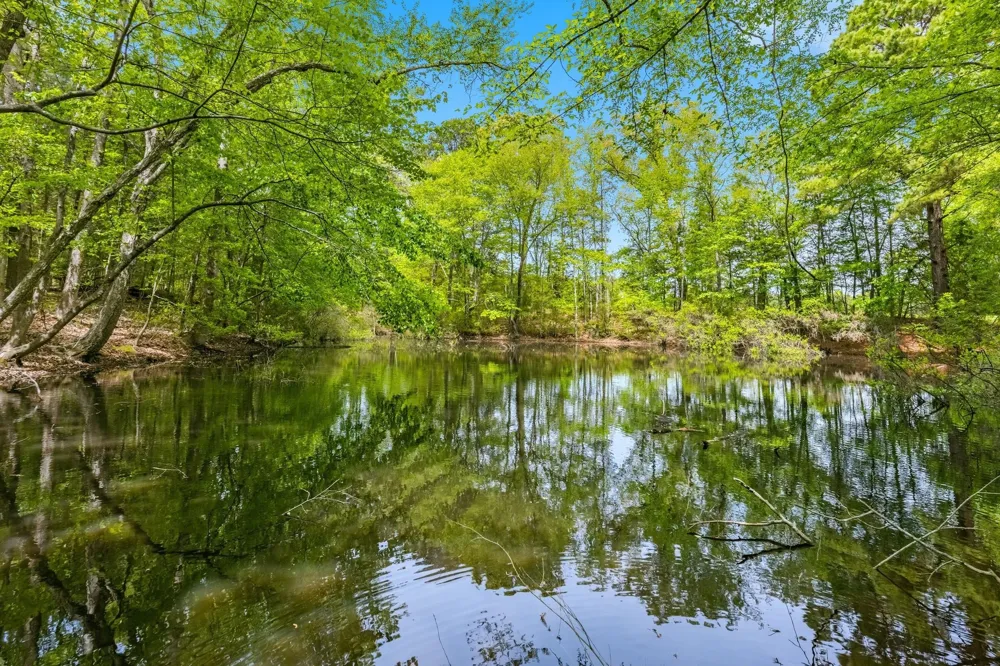166 CR 2112 Pittsburg, TX 75686