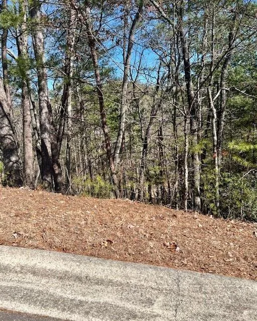 0 Rosen Strasse Helen, GA 30545