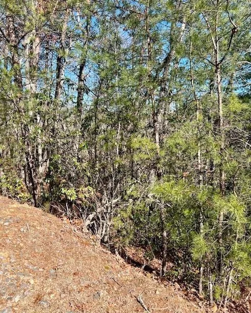 0 Rosen Strasse Helen, GA 30545