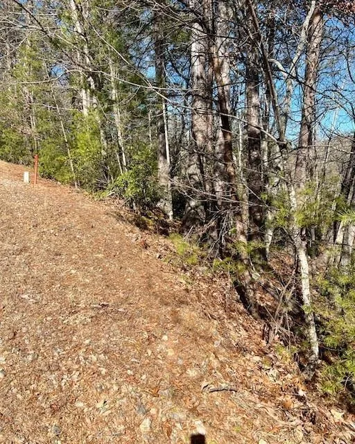 0 Rosen Strasse Helen, GA 30545