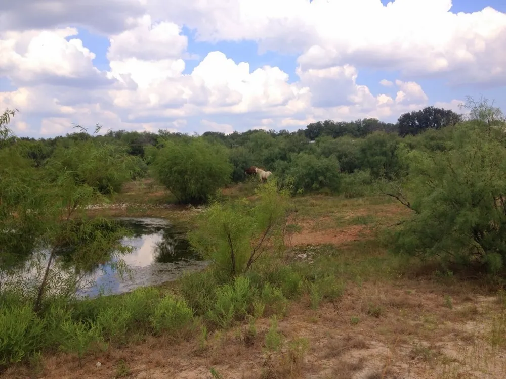12831 Fm-880 Cross Plains, TX 76443