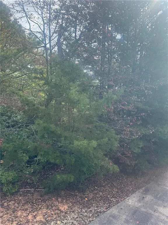 Lot 16 Brown Hawk Clayton, GA 30525