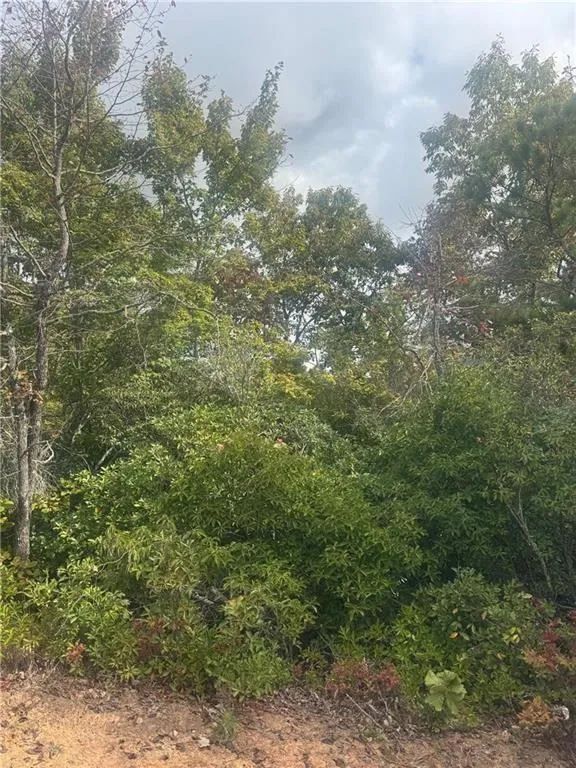 Lot 16 Brown Hawk Clayton, GA 30525