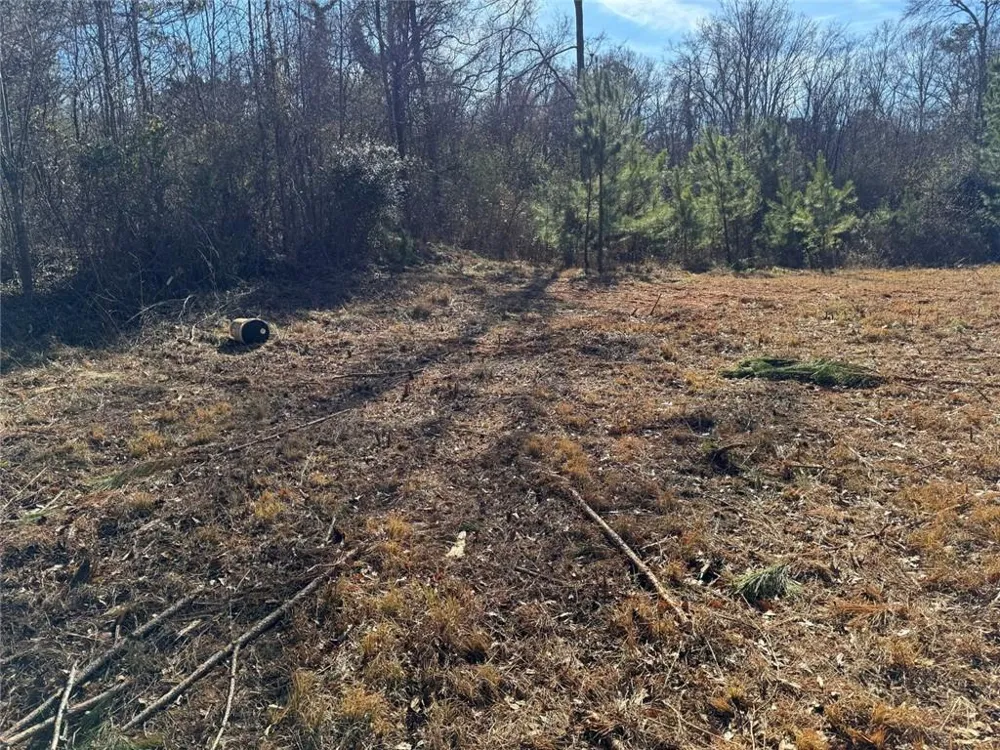 738 Old Mineral Springs Elberton, GA 30635