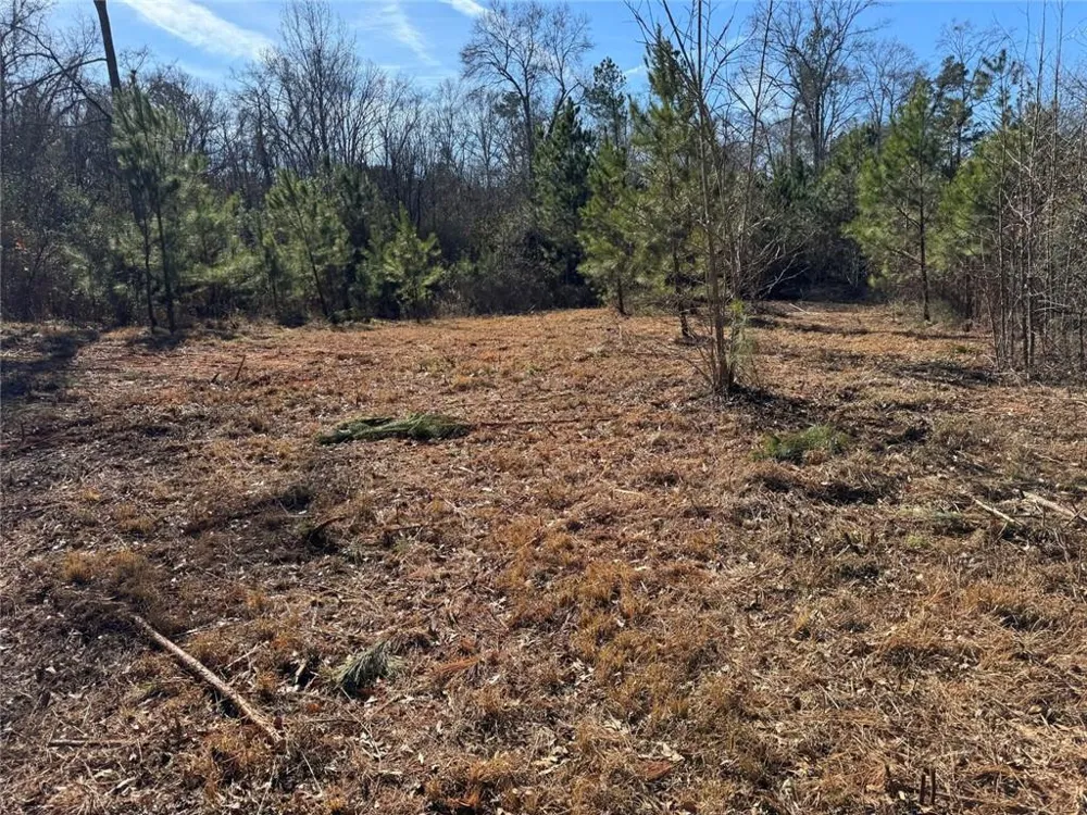 738 Old Mineral Springs Elberton, GA 30635