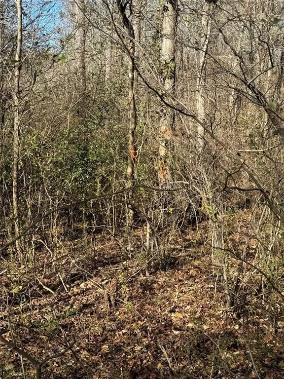 738 Old Mineral Springs Elberton, GA 30635