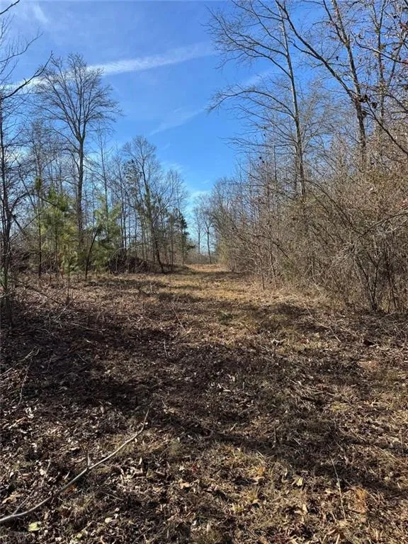738 Old Mineral Springs Elberton, GA 30635