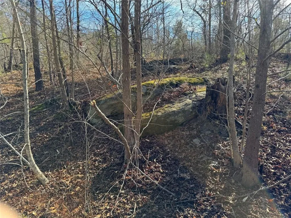 738 Old Mineral Springs Elberton, GA 30635