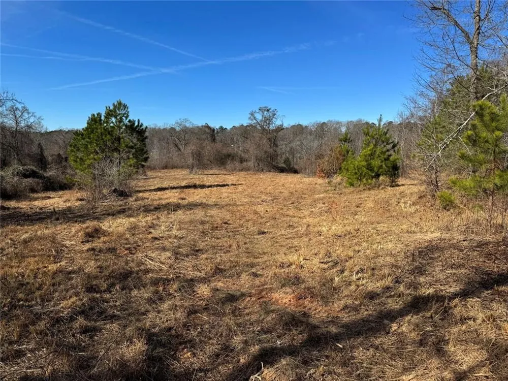 738 Old Mineral Springs Elberton, GA 30635