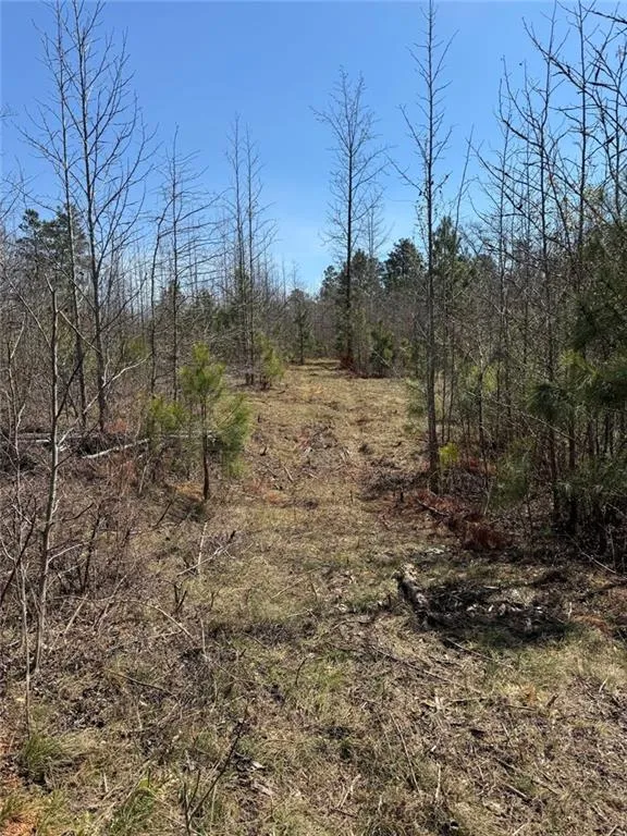 738 Old Mineral Springs Elberton, GA 30635