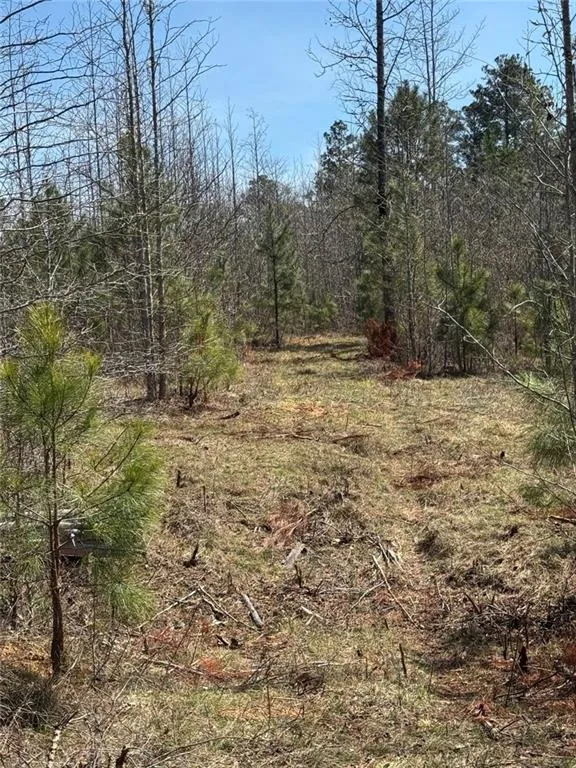 738 Old Mineral Springs Elberton, GA 30635