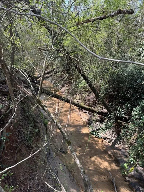 738 Old Mineral Springs Elberton, GA 30635