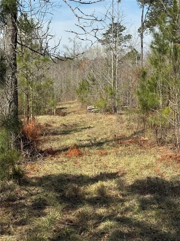 738 Old Mineral Springs Elberton, GA 30635