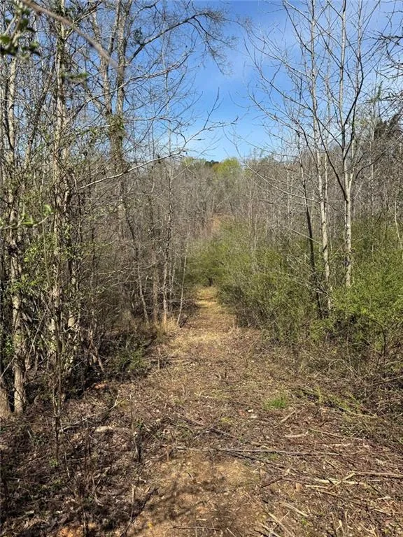 738 Old Mineral Springs Elberton, GA 30635