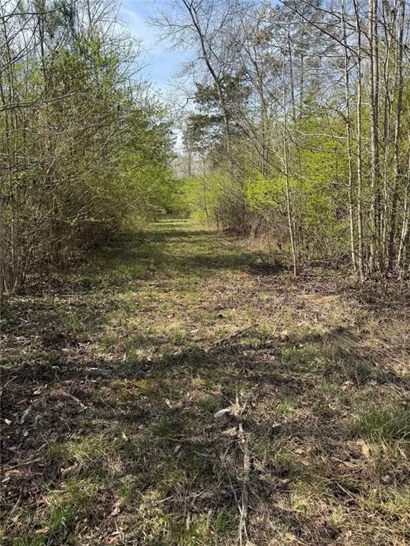 738 Old Mineral Springs Elberton, GA 30635