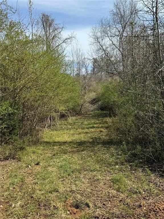 738 Old Mineral Springs Elberton, GA 30635
