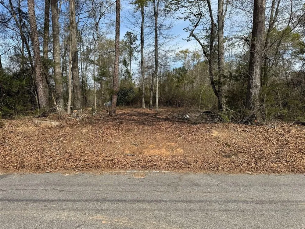 738 Old Mineral Springs Elberton, GA 30635