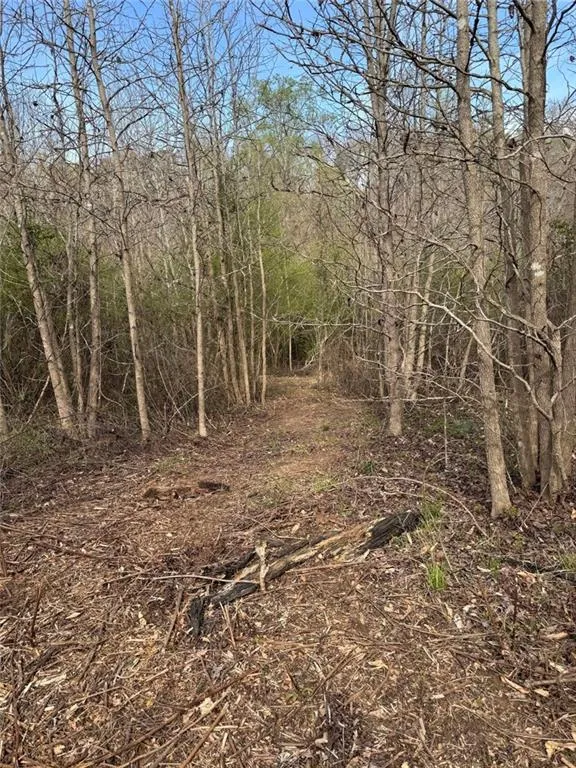738 Old Mineral Springs Elberton, GA 30635