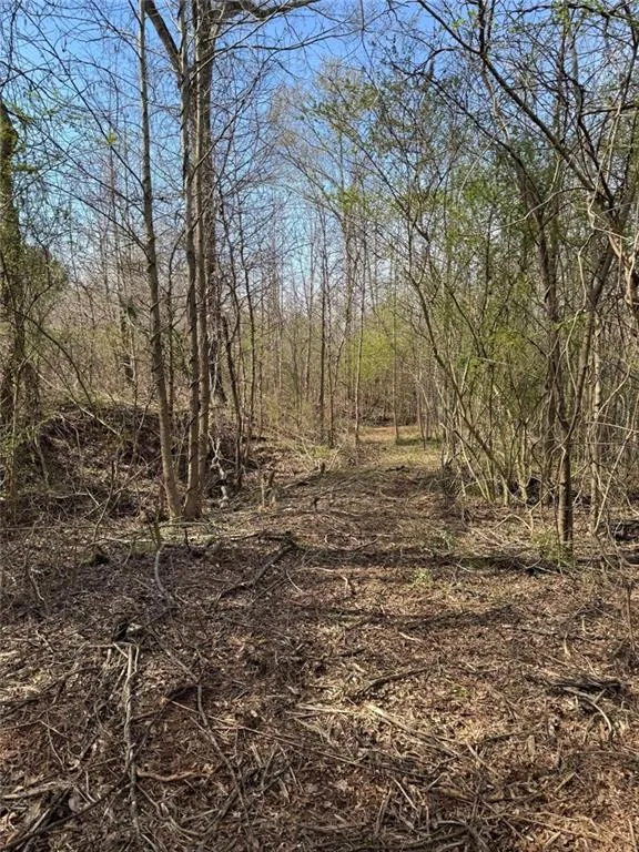 738 Old Mineral Springs Elberton, GA 30635