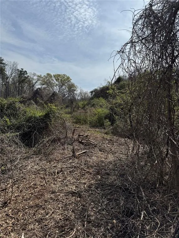 738 Old Mineral Springs Elberton, GA 30635