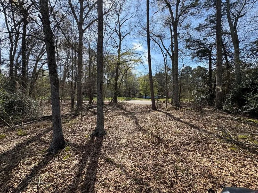 738 Old Mineral Springs Elberton, GA 30635