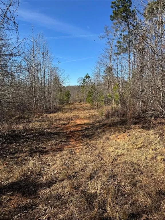 738 Old Mineral Springs Elberton, GA 30635