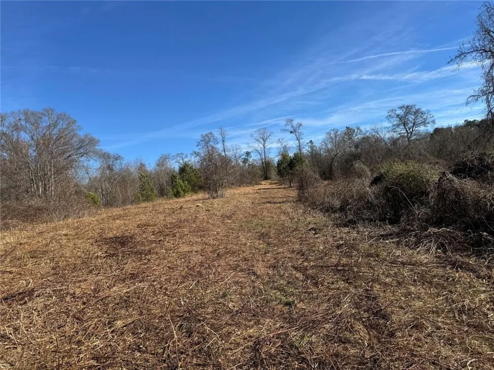 738 Old Mineral Springs Elberton, GA 30635