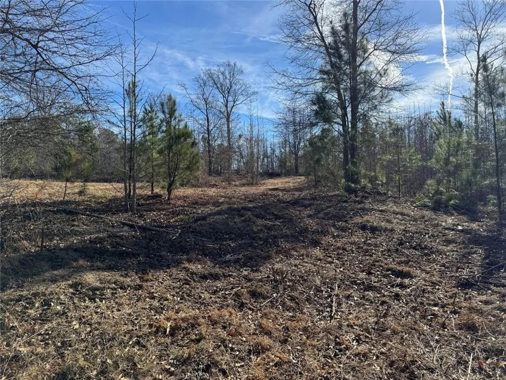 738 Old Mineral Springs Elberton, GA 30635