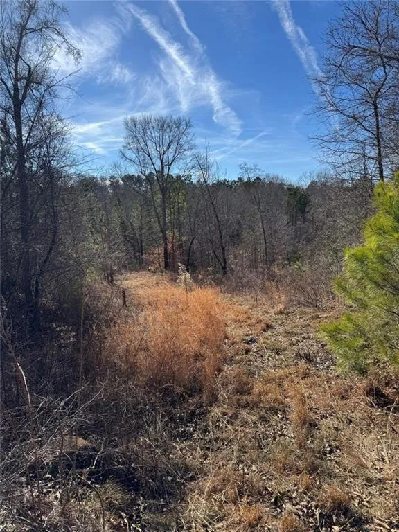 738 Old Mineral Springs Elberton, GA 30635
