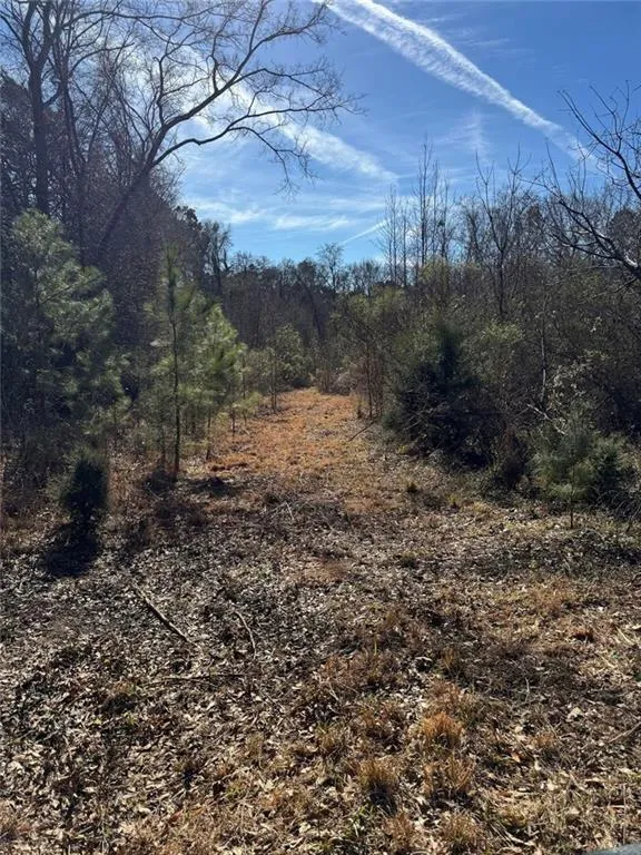 738 Old Mineral Springs Elberton, GA 30635