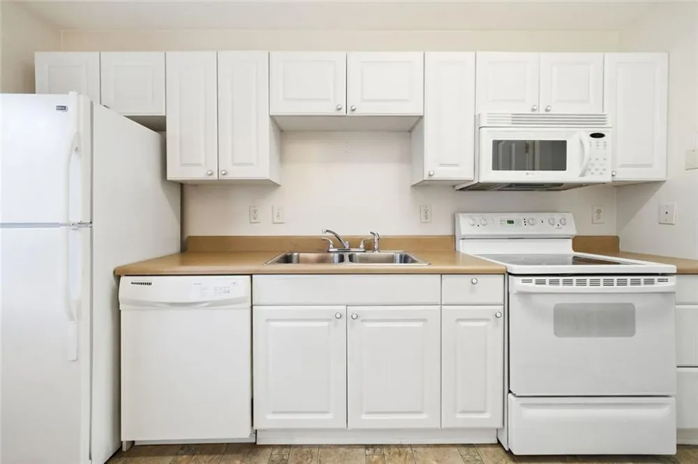 6 Brittany #24 Jasper, GA 30143