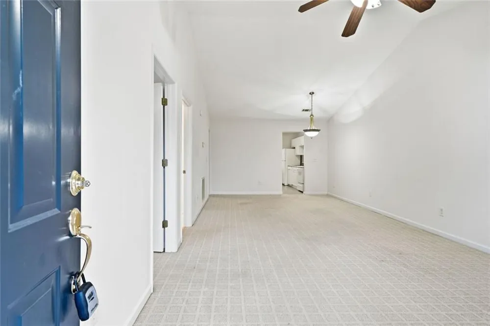 6 Brittany #24 Jasper, GA 30143