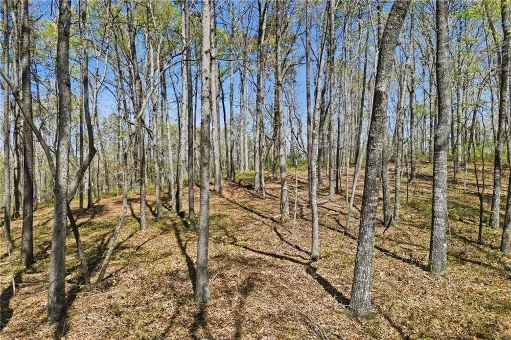 125 Heritage Plantation Drive Ball Ground, GA 30107