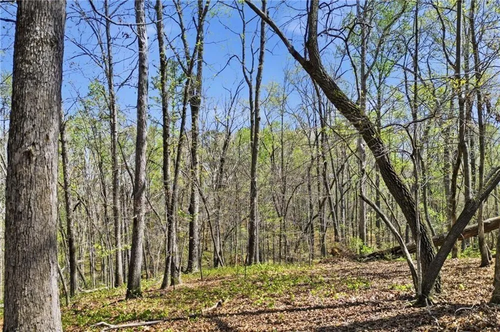125 Heritage Plantation Drive Ball Ground, GA 30107