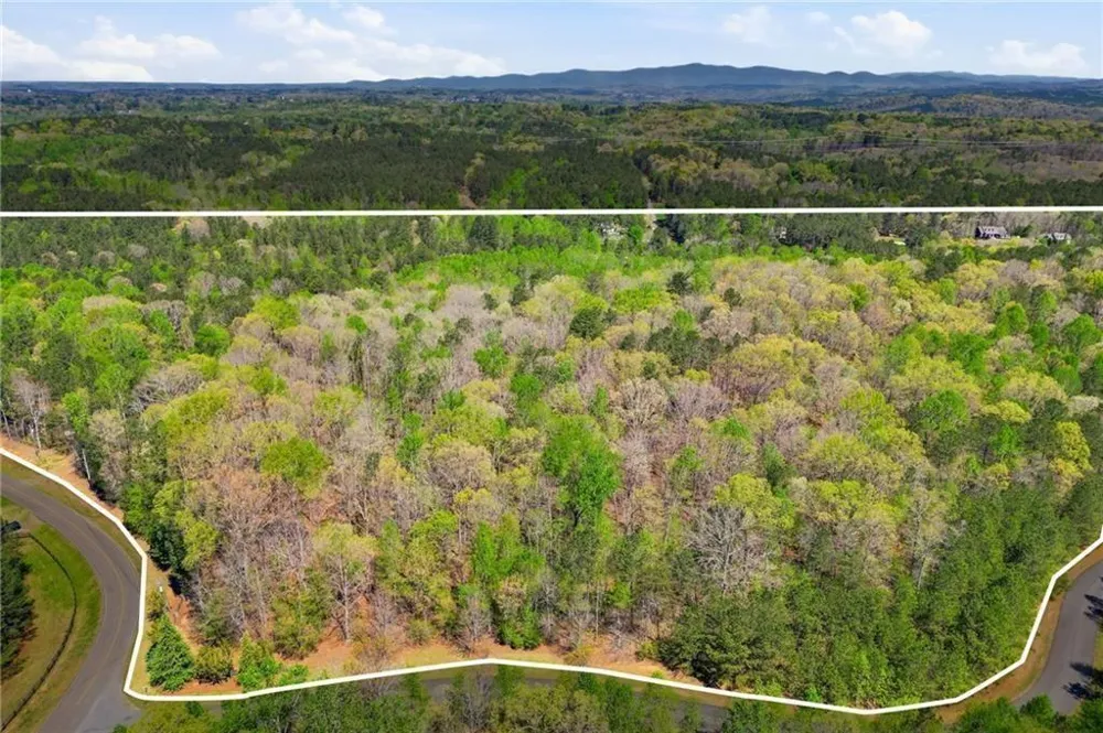 125 Heritage Plantation Drive Ball Ground, GA 30107