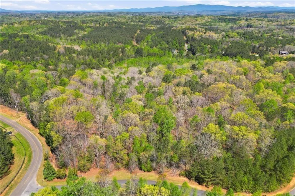 125 Heritage Plantation Drive Ball Ground, GA 30107