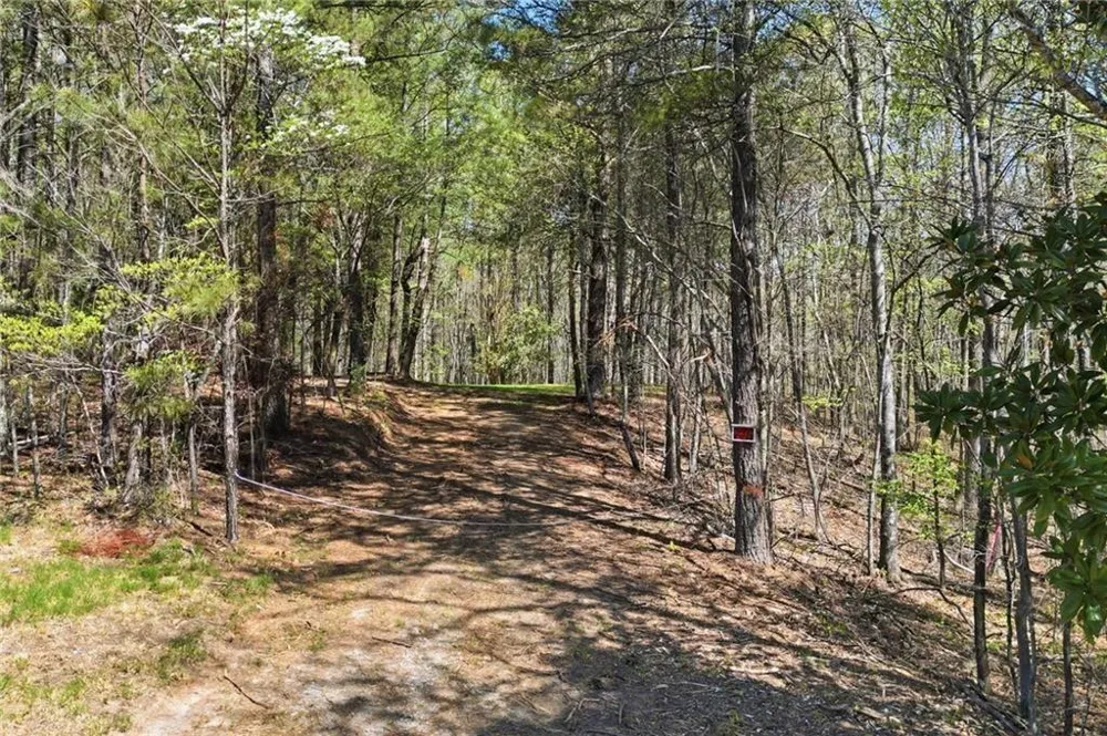 125 Heritage Plantation Drive Ball Ground, GA 30107