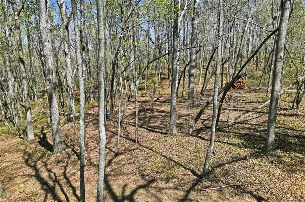 125 Heritage Plantation Drive Ball Ground, GA 30107