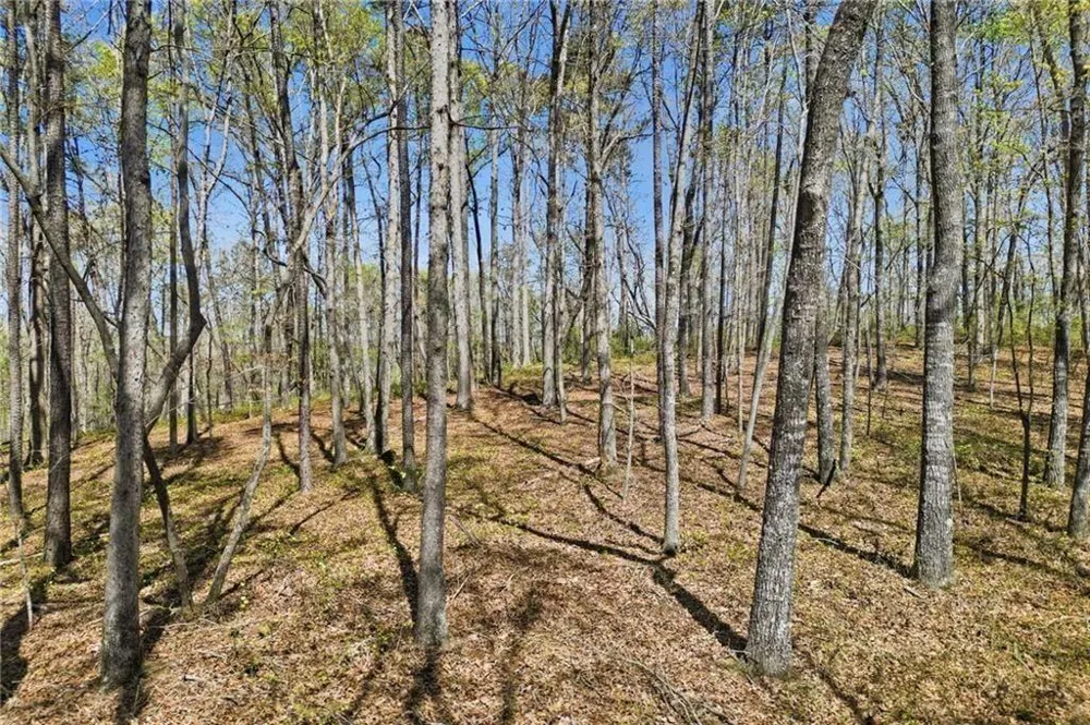 3102 Flatbottom Road Ball Ground, GA 30107