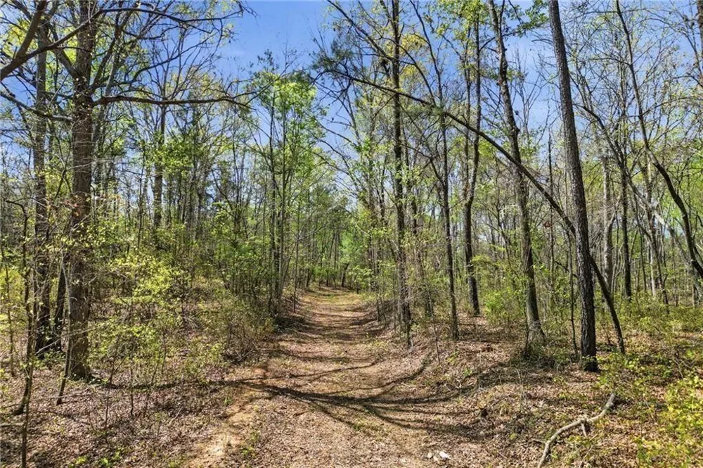 3102 Flatbottom Road Ball Ground, GA 30107