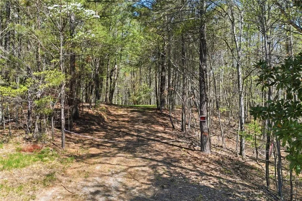 3102 Flatbottom Road Ball Ground, GA 30107