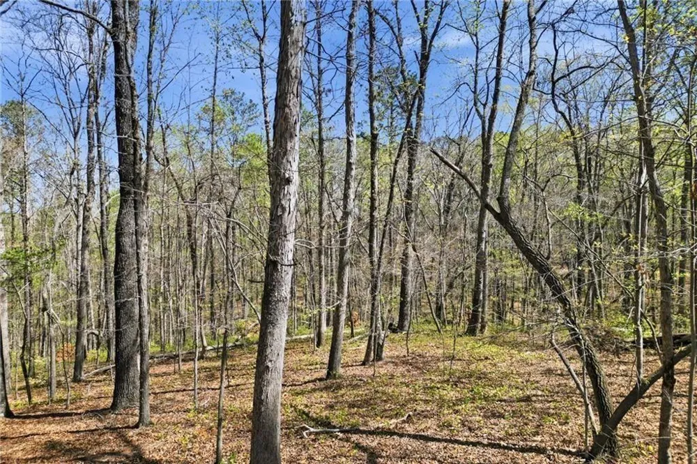 3102 Flatbottom Road Ball Ground, GA 30107