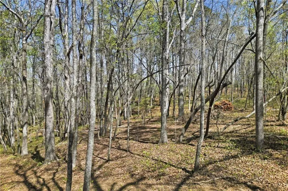 3102 Flatbottom Road Ball Ground, GA 30107