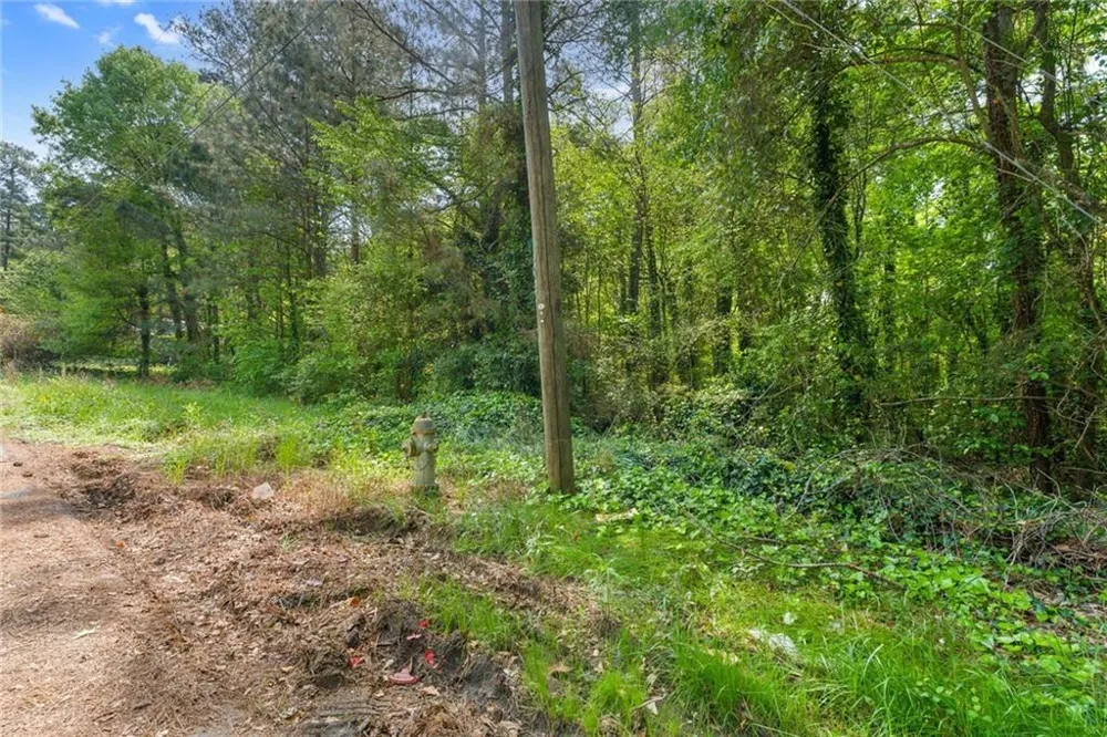 1453 California Avenue Conley, GA 30288