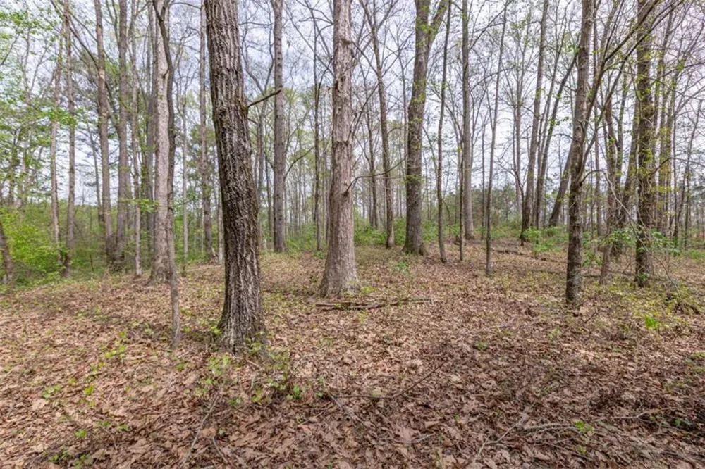 7350 Ono Road Palmetto, GA 30268
