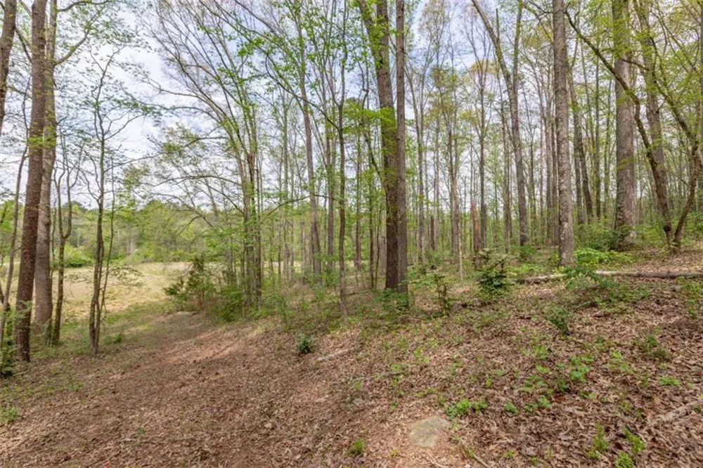 7350 Ono Road Palmetto, GA 30268