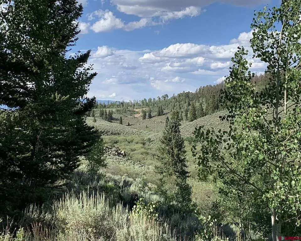 738 Blue Mesa Drive Powderhorn, CO 81243