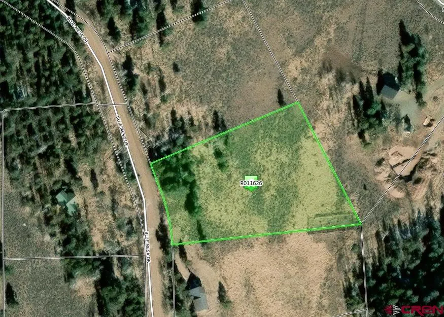 738 Blue Mesa Drive Powderhorn, CO 81243