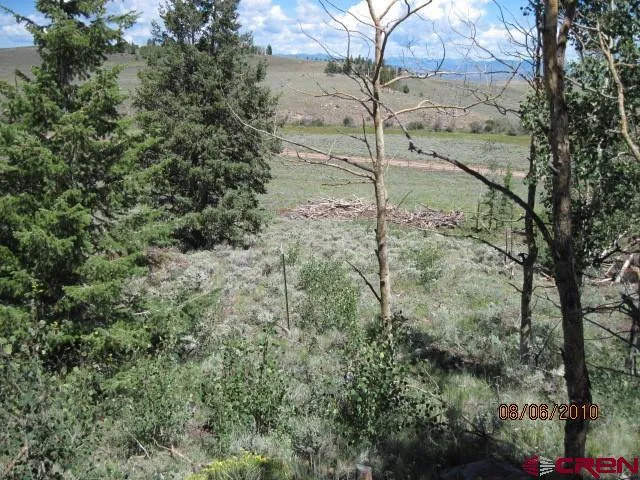 738 Blue Mesa Drive Powderhorn, CO 81243