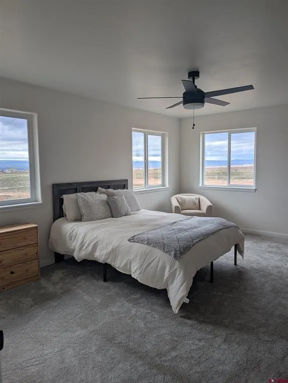 15887 Stardust Lane Cedaredge, CO 81413
